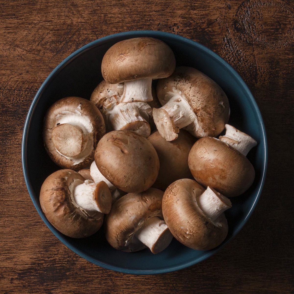 Button, crimini and portobello mushrooms — bulk ingredient supply from India