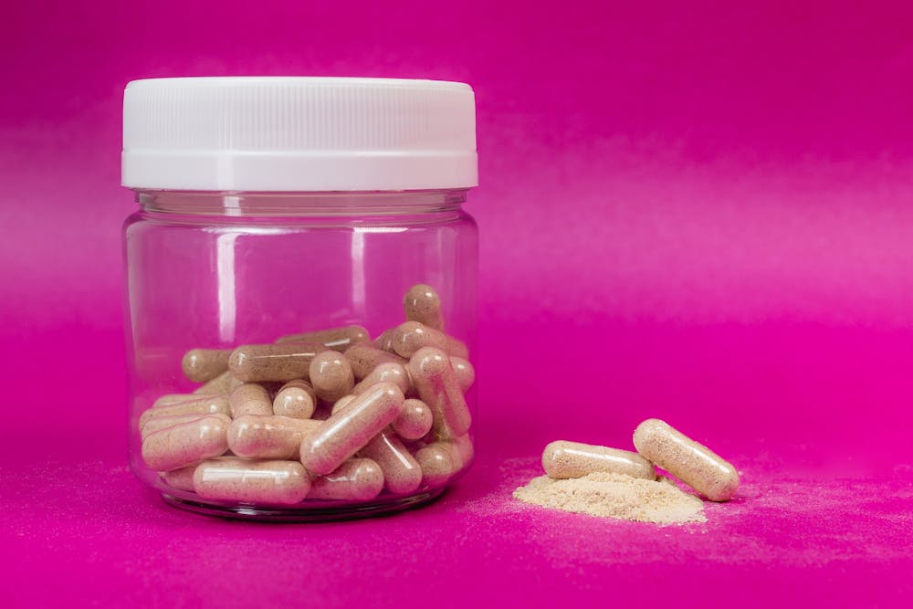 Dual-extract mushroom powder — supplement-ready bulk ingredient