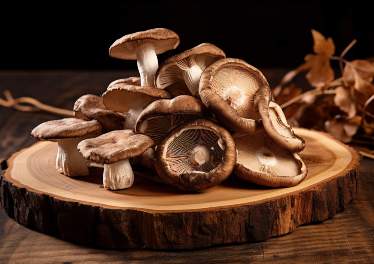 Shiitake mushroom bulk supply — dried, sliced and powder grades